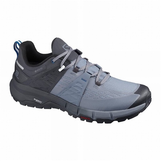 Salomon Odyssey Gtx Men's Hiking Shoes Grey / Royal | XSDNHQ-049