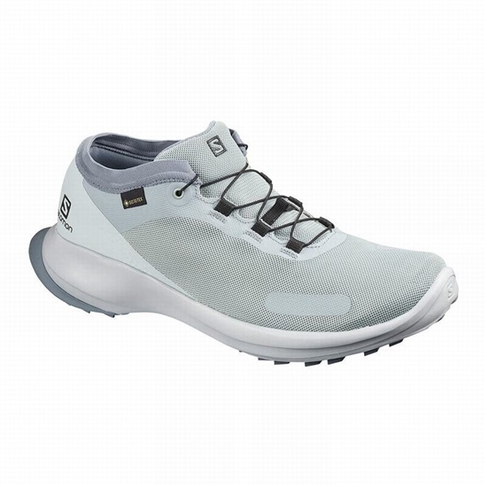 Salomon Sense Feel Gtx Men's Trail Running Shoes Grey | NSFVPU-581