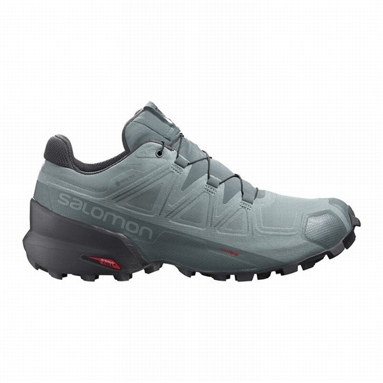 Salomon Speedcross 5 Gore-tex Men's Trail Running Shoes Green | MOJBWF-512