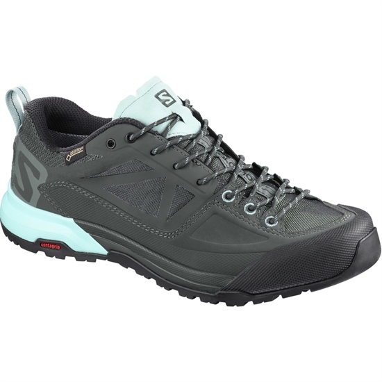 Salomon X Alp Spry Gtx W Men's Hiking Boots Light Blue / Black | NTOVFD-361