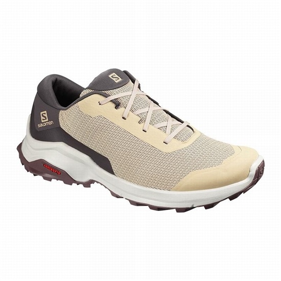Salomon X Reveal Men's Hiking Shoes Brown | WQLNZX-326
