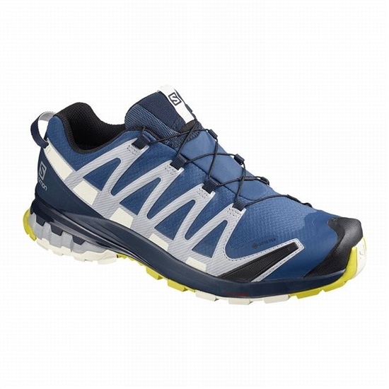 Salomon Xa Pro 3d V8 Gore-tex Men's Hiking Shoes Navy | HOYLIW-201