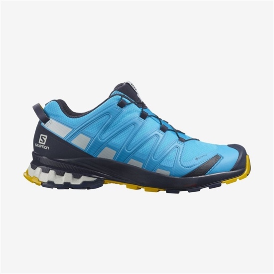 Salomon Xa Pro 3d V8 Gore-tex Men's Hiking Shoes Blue | UYSTWM-602